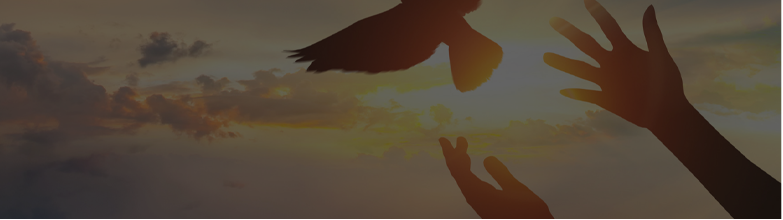 企業(yè)作風(fēng)